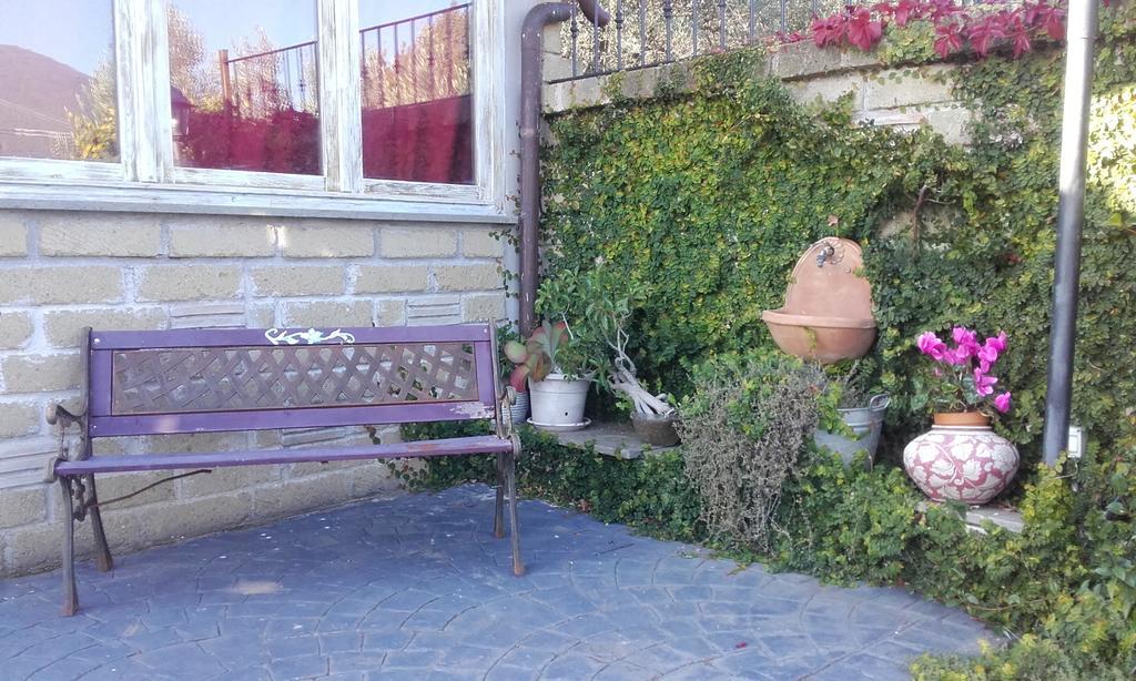 Апартаменты Il Poggio Degli Ulivi Тревиньяно-Романо Номер фото